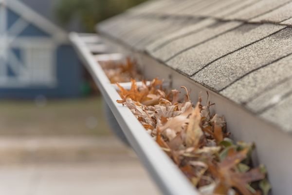 Leaf Barrier Installation in Pinehurst